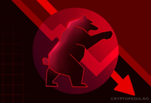 Simplu explicat: Ce este un Bear Market?