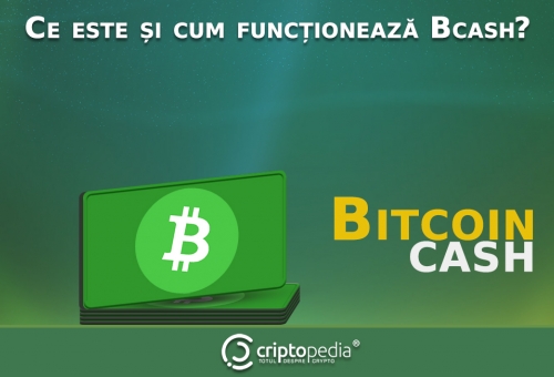 Ce este și cum funcționează Bitcoin Cash?