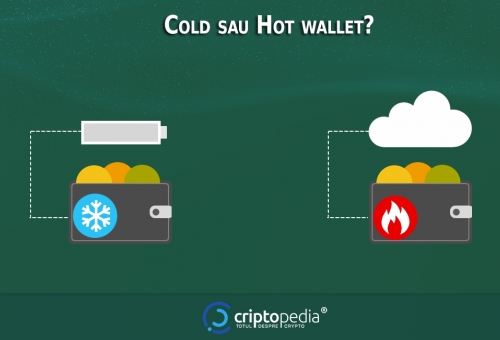 Hot wallet vs cold wallet: care este diferența?