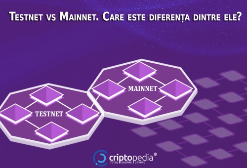 Care este diferența între testnet și mainnet?